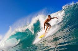 世俱杯首回合爆出冷门！明尼苏达森林狼大胜密尔沃基雄鹿，争冠形势突变的简单介绍